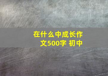 在什么中成长作文500字 初中